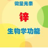 锌对生物的重要性